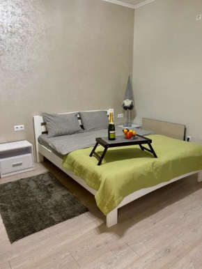 Truskavets Oasis Apartments
